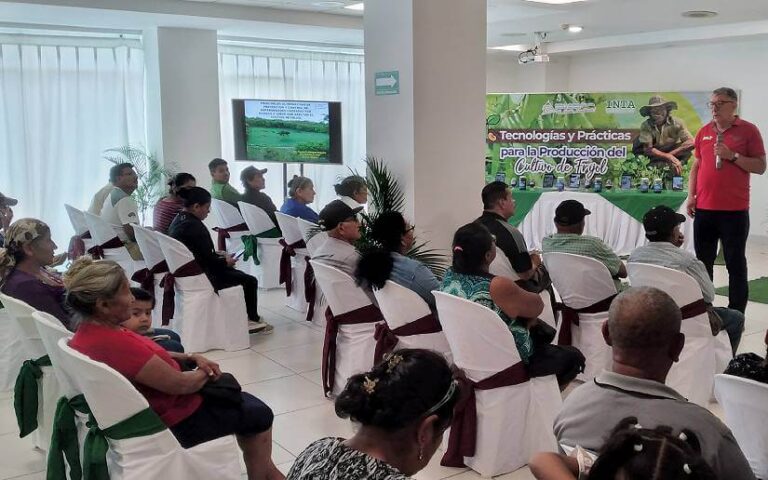 Capacitan a productores sobre mejoras en la producción de frijol