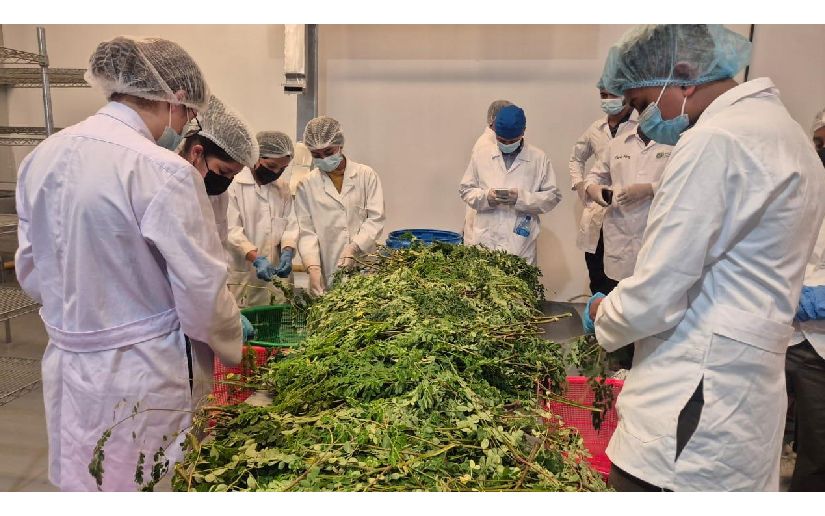 UNA realiza curso de Moringa