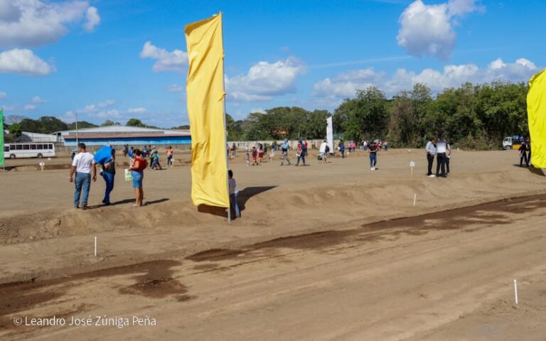 Entregan 500 lotes en la urbanización Villa Esperanza