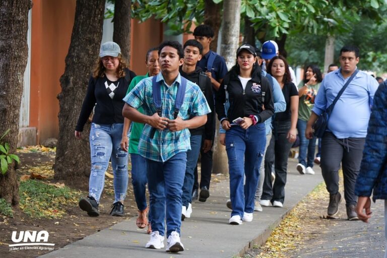 Más de 61 mil estudiantes inician sus estudios universitarios