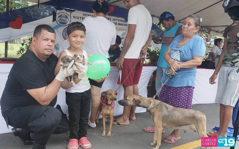 Feria veterinaria en Tipitapa garantiza salud de mascotas y dueños