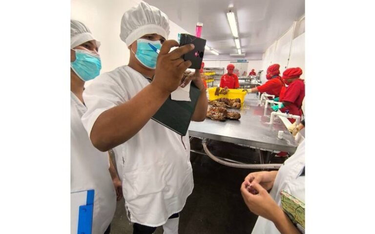 IPSA verifica sistema de inocuidad en productos pesqueros