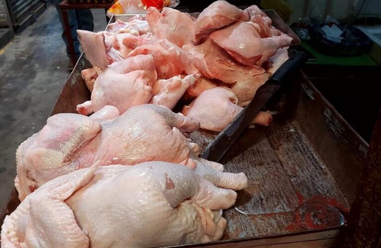 Nicaragua produce 37 millones de libras de carne de pollo en enero