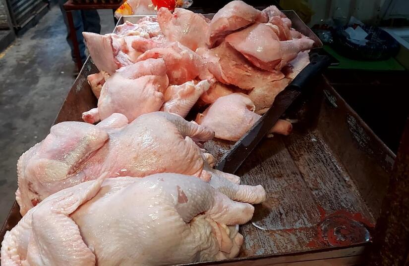 Nicaragua registra producción de carne de pollo de 37 millones
