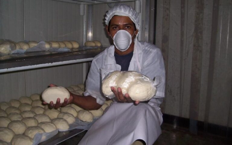 Producción de lácteos impulsa la economía y el empleo en Nicaragua