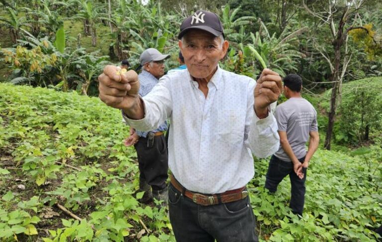 Comparten tecnologías y prácticas para el manejo de plagas y fertilización en el cultivo del frijol en época de apante