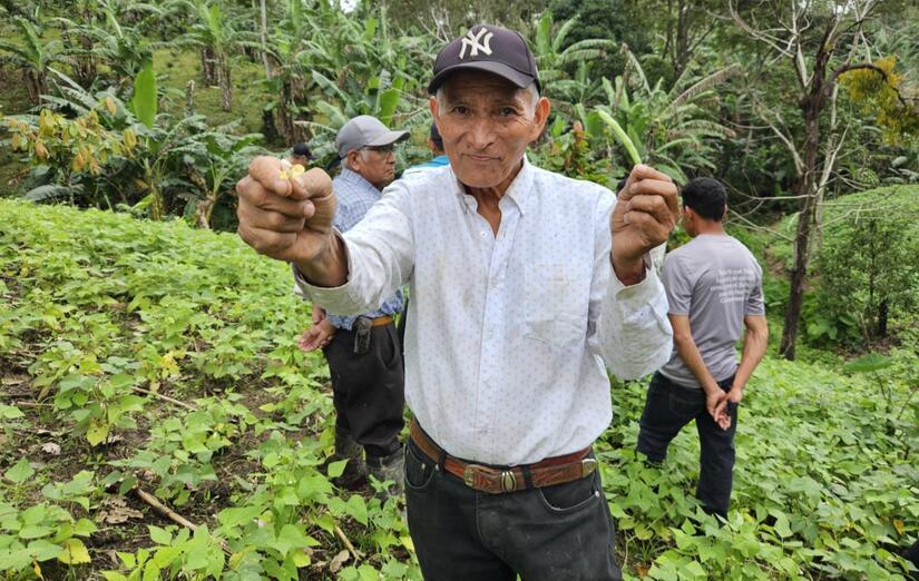 Comparten tecnologías para el cultivo del frijol en época de apante