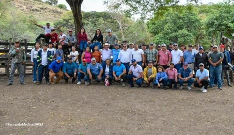 Productores junto al IPSA en acciones de prevención de influenza aviar y gusano barrenador en Matagalpa