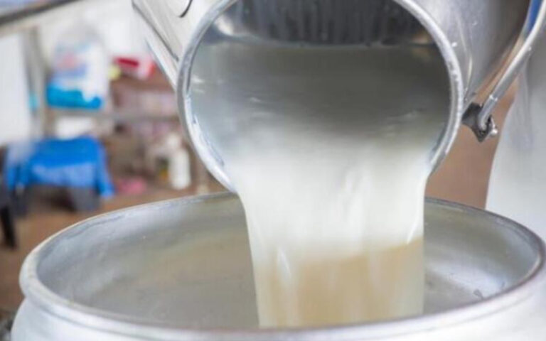 Monitoreo del Ministerio Agropecuario: 29.7 millones de galones de leche en febrero 2025