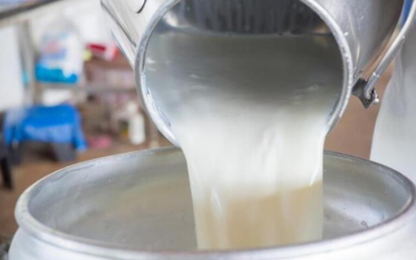 29.7 millones de galones de leche en febrero 2025
