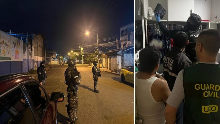 Desmantelan una red criminal intercontinental