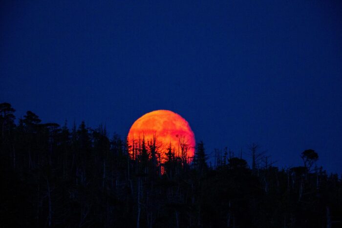 Eclipse Lunar Total Iluminará el Cielo este 13 de Marzo