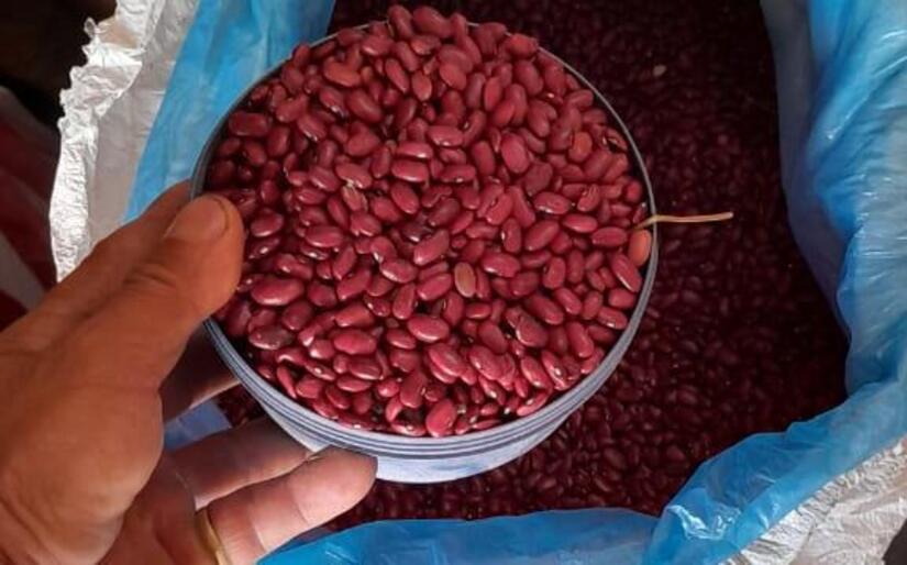 El frijol es la clave para la economía de Nicaragua