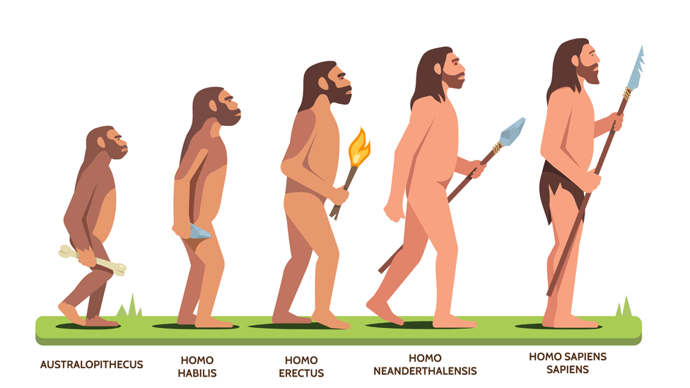 El Despertar de los “Despertados”: La Convivencia de Especies Humanas en la Actualidad