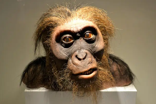 El Despertar de los “Despertados”: La Convivencia de Especies Humanas en la Actualidad