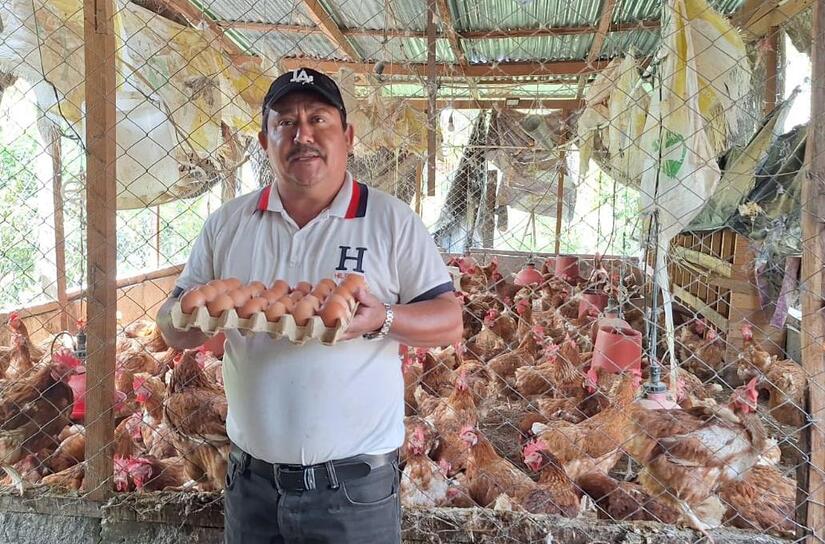 Más de 5 millones de cajillas de huevos se registraron