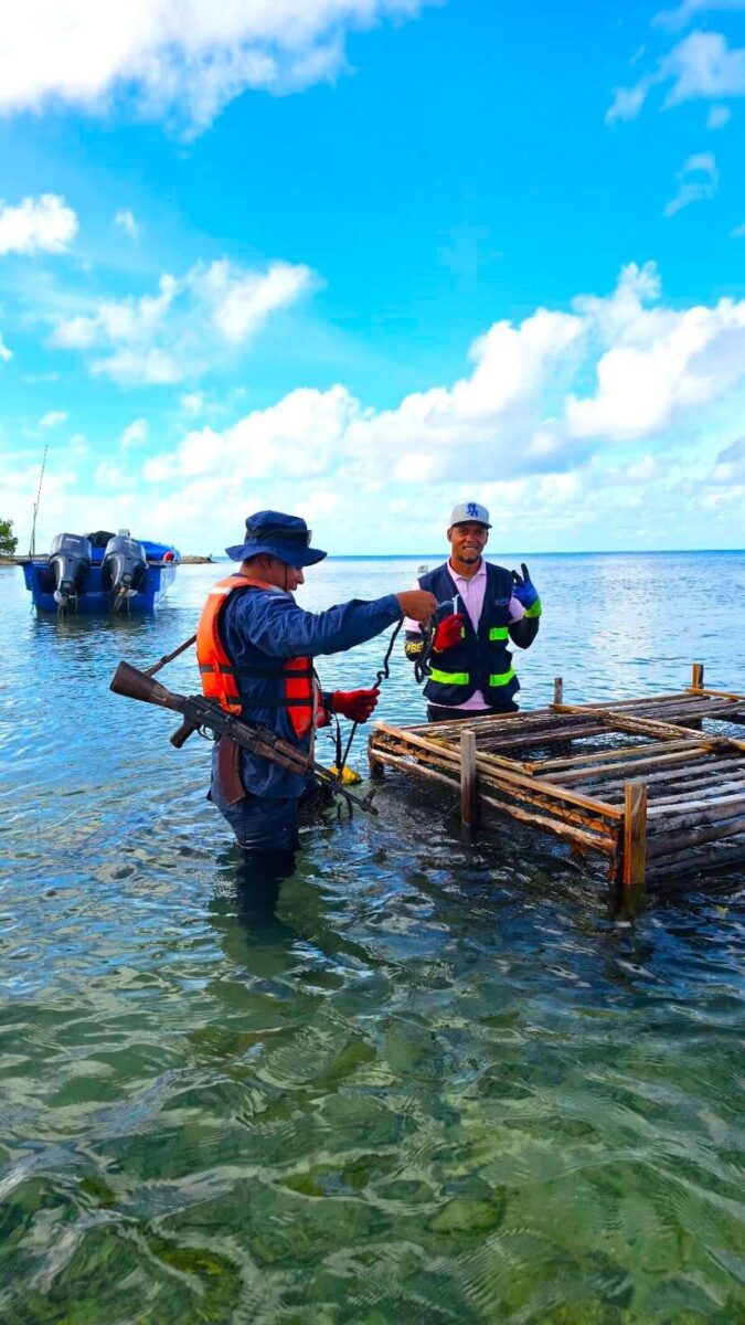 Aseguran cumplimiento de la veda de Langosta