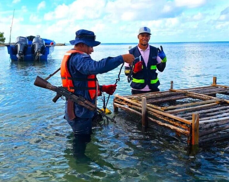 Monitoreo y control en Cayos Perlas: Aseguran cumplimiento de la veda de Langosta