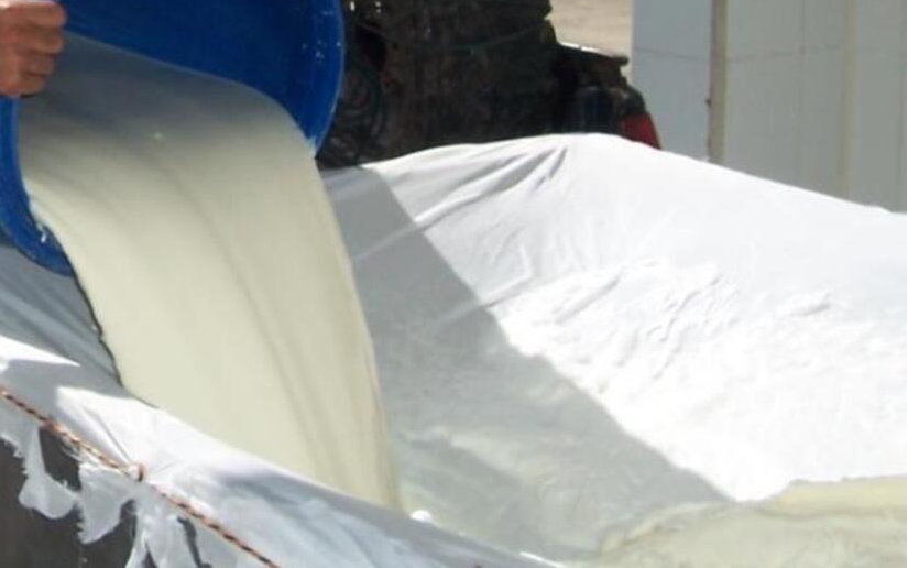 Producción de leche