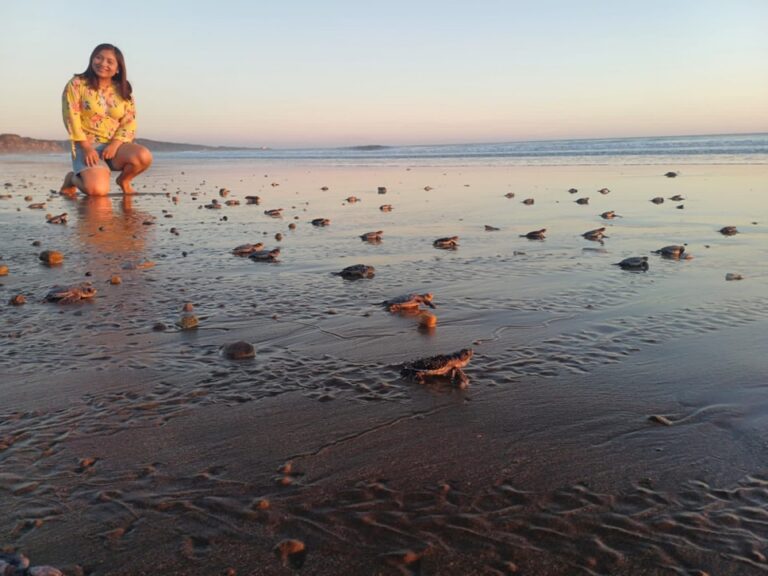 Liberan 63 tortuguillos en el Refugio Río Escalante Chacocente