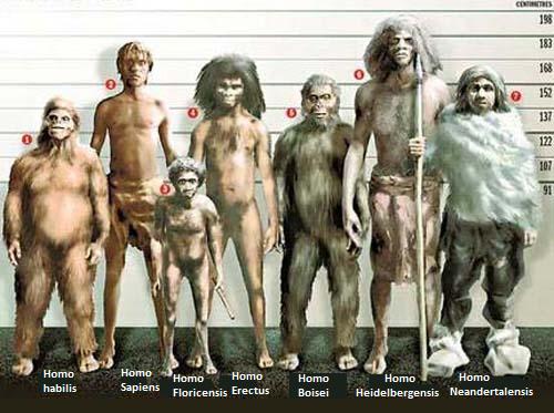  Diversificación del Concepto de Humanidad