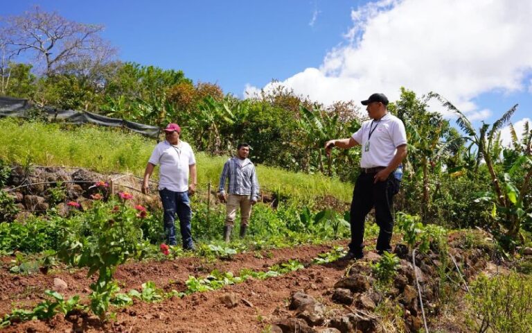 Marena impulsa prácticas agrícolas sostenibles con acompañamiento a la finca “Oasis Tour” 