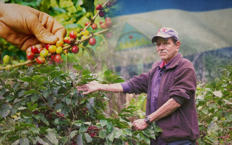 clausura del Plan de Protección y Seguridad de la Cosecha Cafetalera del Ciclo Productivo 2024-2025