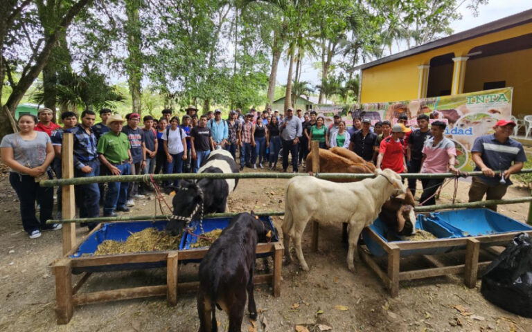 INTA lanza Programa de Mejoramiento Genético para fortalecer a productores ganaderos