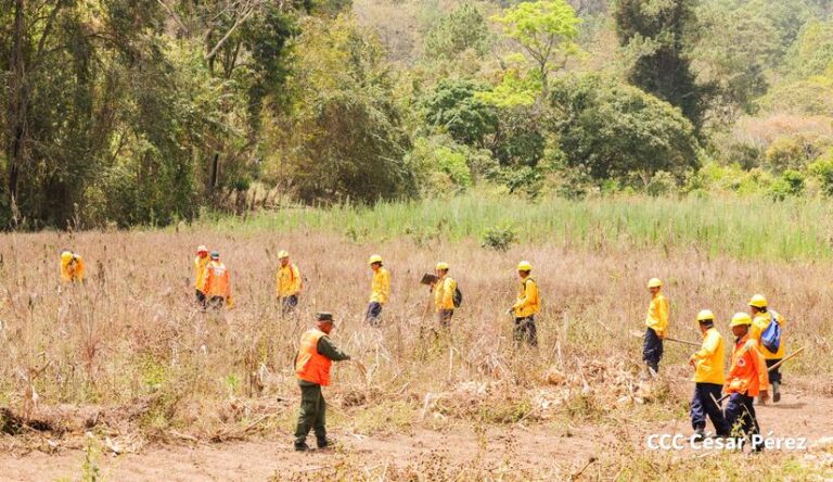 San Fernando sede del Ejercicio de Supresión de Incendios Forestales