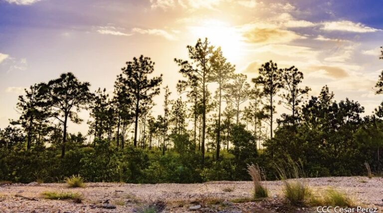Temperaturas máximas en Nicaragua alcanzan los 38 grados