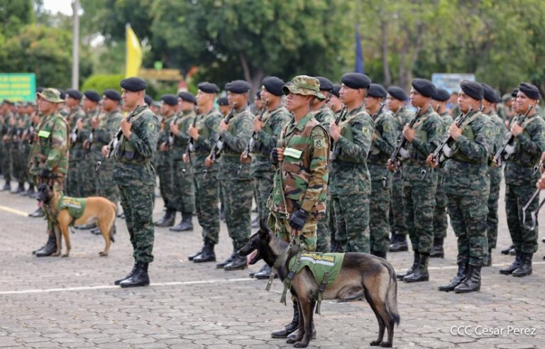 Concluye en Managua el Plan de Protección de la Cosecha Cafetalera 2024-2025