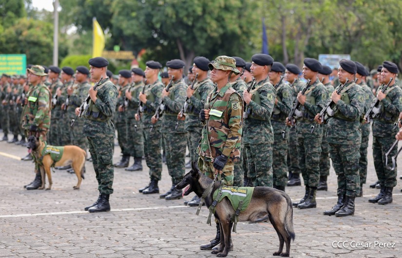 Concluye en Managua el plan de cosecha cafetalera