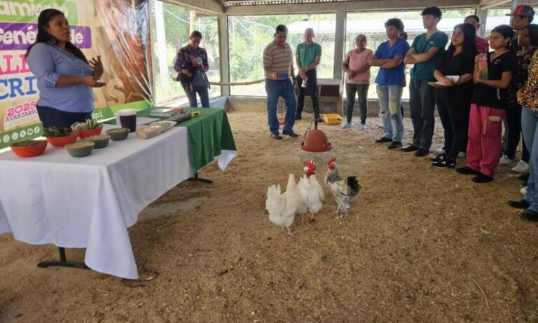 INTA realiza presentación sobre mejoramiento genético de gallinas criollas