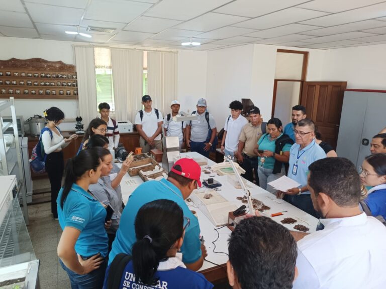 MARENA realiza taller especializado en la “Colecta y Manejo de Semillas Forestales”