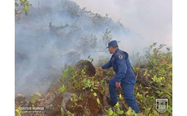 Destacamento Naval de Aguas Interiores sofoca incendio forestal en la comunidad San José del Norte
