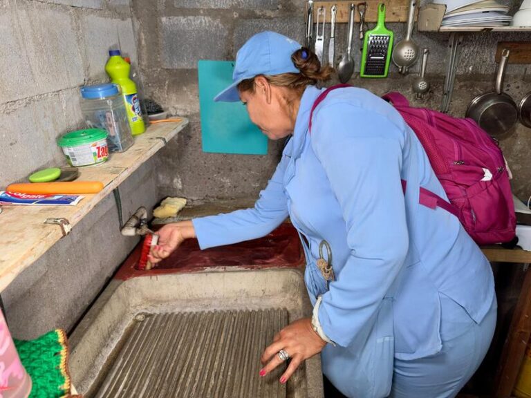 La lucha contra el mosquito no se detiene