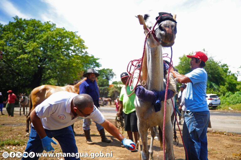 Alcaldía de Managua brinda atención a sector carretonero