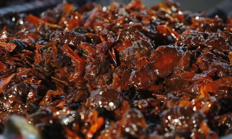 Más de 2 mil raciones de almíbar se compartieron con alegría en el Puerto Salvador Allende