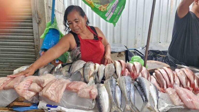 Comerciantes ofrecen variedades de especies marinas