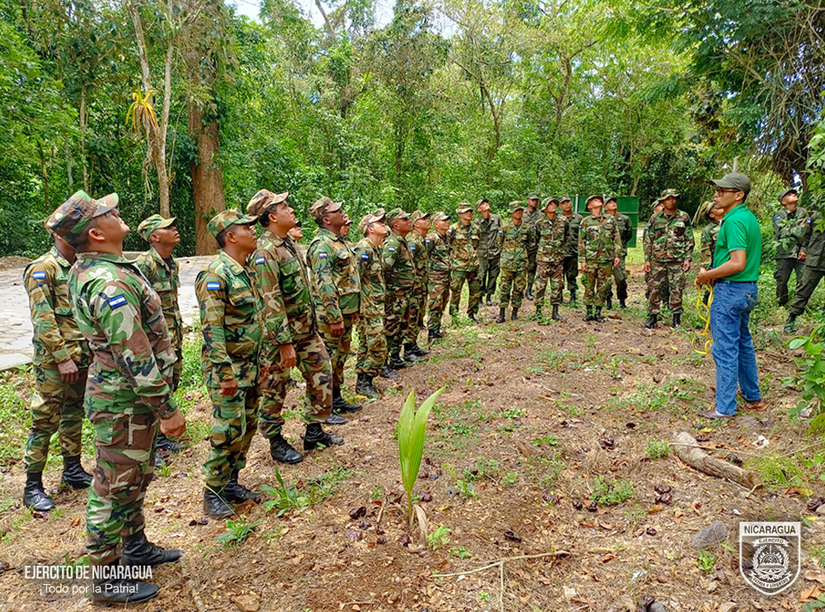 Militar Sur fortalece conocimientos en tema ambiental y forestal