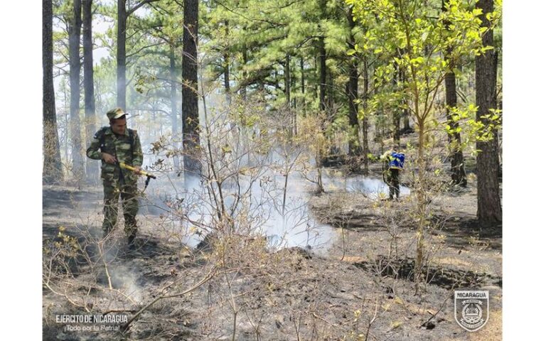 Sofocación de incendio forestal en el municipio de Achuapa, León