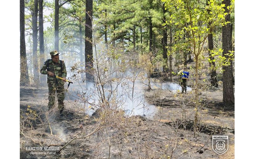 Ejército Sofoco incendio forestal en el municipio de Achuapa, León