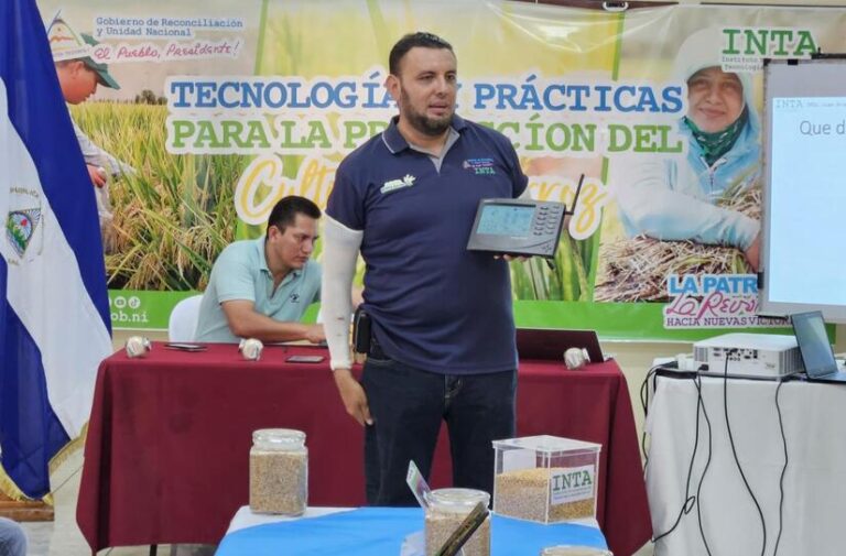 INTA presenta resultados productivos de arroz de riego haciendo uso de herramientas digitales