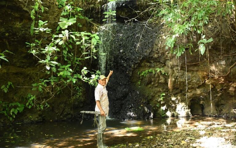 Finca “Las Nubes”: Un modelo de buenas prácticas agrícolas y conservación ambiental