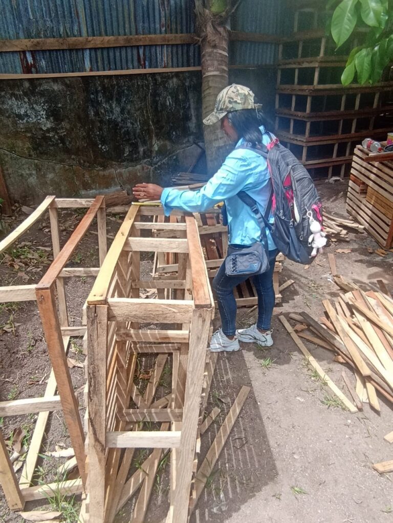 Pescadores artesanales e industriales de Bluefields se preparan para nueva temporada de Langosta