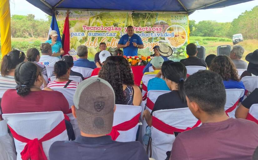 Presentación de resultados de producción de tres variedades de soya 2