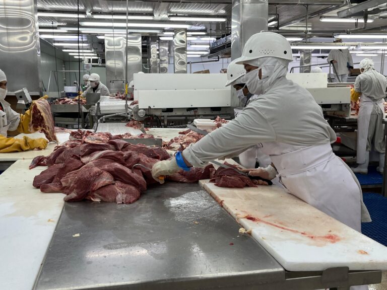 Producción de carne bovina supera los 100 millones de libras en el primer trimestre de 2025