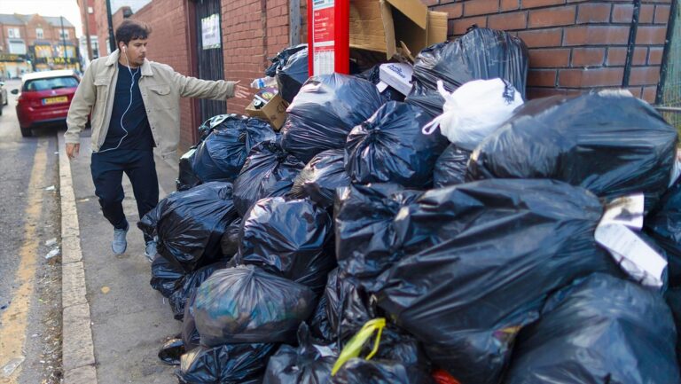Ratas gigantes invaden Birmingham