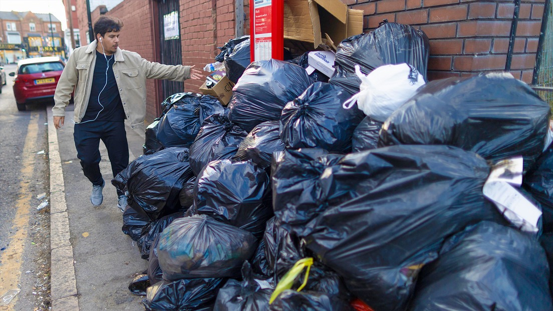 Las calles de Birmingham, son invadidas por ratas gigantes, según imágenes y videos que se han hecho viral en las redes sociales.
