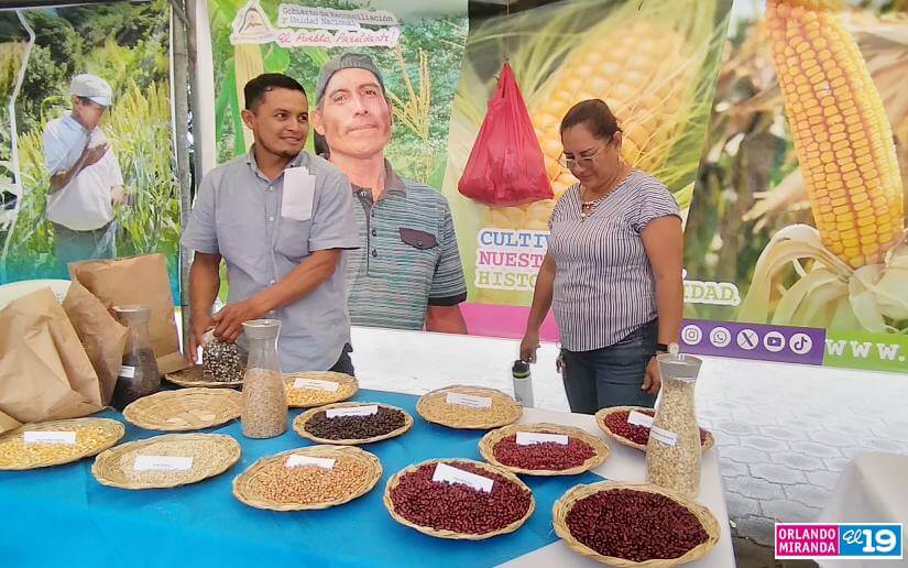 Realizan Encuentro con productores de semillas